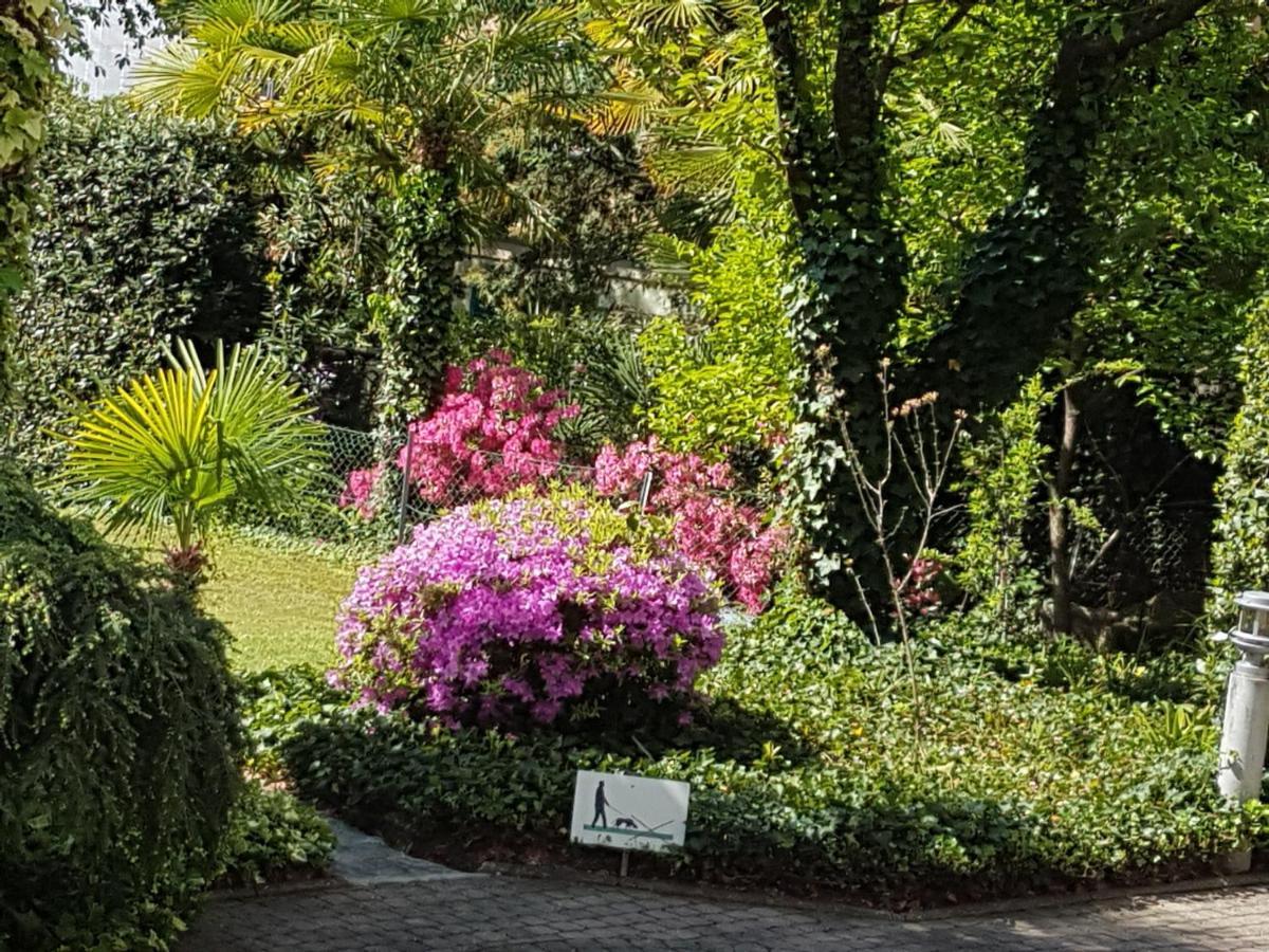 Apartamento Opal Muralto Exterior foto